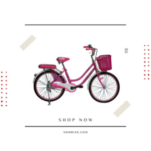 Xe đạp thời trang SMNBike MN 24-01
