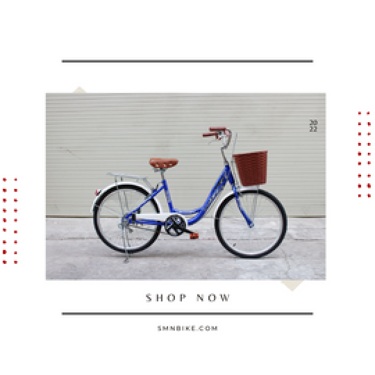 Xe đạp thời trang SMNBike CLM 24-01 