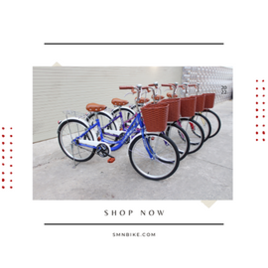 Xe đạp thời trang SMNBike CLM 24-01 