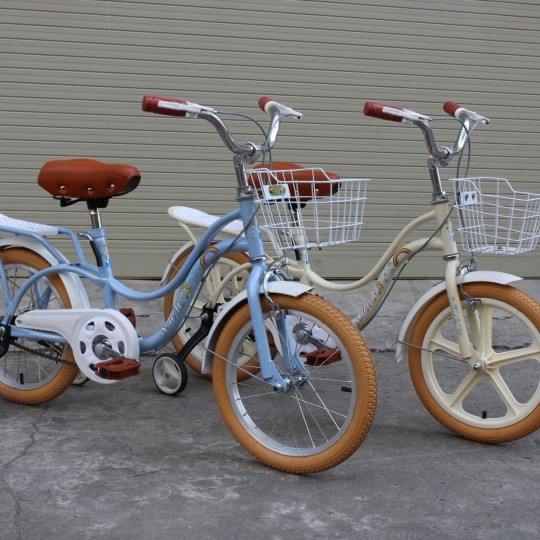 Xe Đạp Trẻ Em SMNBike TN1601